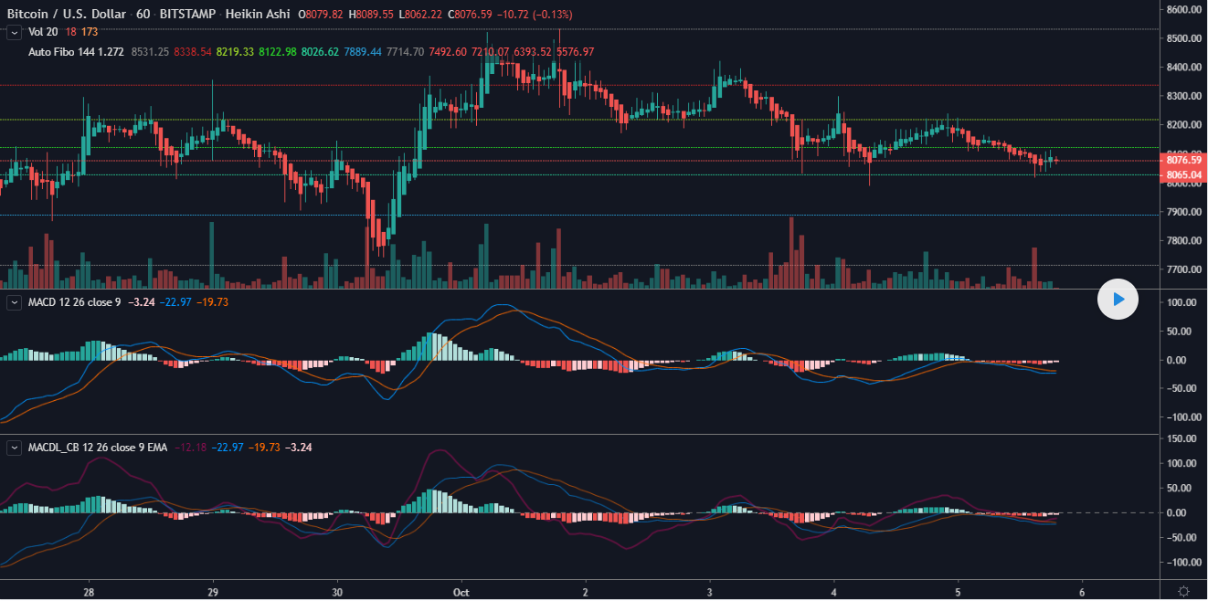 MACD Leader
